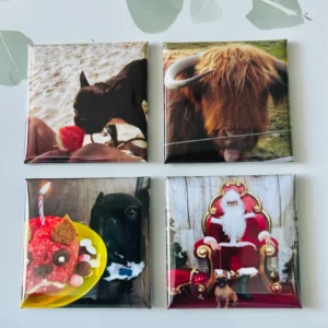 4 x custom magnet pack